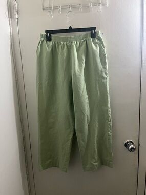 Alfred Dunner Light Sage Green Elastic-Waist Chinos